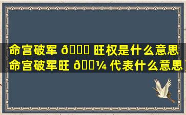 命宫破军 🐟 旺权是什么意思（命宫破军旺 🌼 代表什么意思）